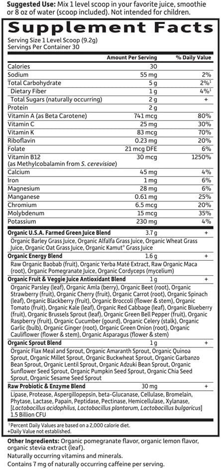 Garden of Life Raw Organic Perfect Food Energizer Juiced Green Superfood Powder - Yerba Mate Pomegranate, 30 Servings,