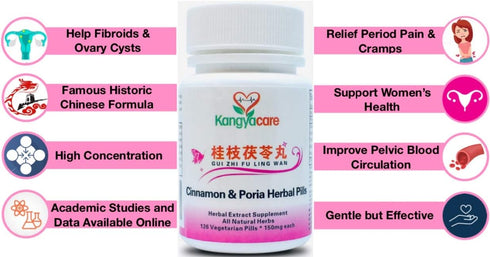 GUI Zhi Fu Ling Wan ????? - Cinnamon & Poria Pills - Natural Cycle Relief for Menstrual Cramps, 252 Ct (2)