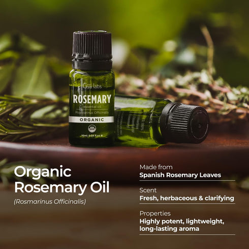 Gya Labs USDA Certified Organic Rosemary Essential Oil, 100% Pure Natural Oil for Hair, Skin & Diffuser