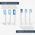 Elements Toothbrush Heads, Compatible with Elements Sonic Toothbrush, Small Firm Bristles, Pack of 3