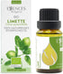 Essences Bulgaria Organic Lime Essential Oil 0.51 Fl Oz 15ml Citrus aurantifolia - 100% Pure Natural Undiluted Therapeutic Grade for Aromatherapy Oil Diffuser Humidifier Hair Growth Skin Care Oil