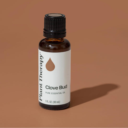 Plant Therapy Clove Bud Essential Oil 100% Pure, 30 mL (1 oz), Undiluted, Natural Aromatherapy
