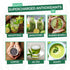 Amla Powder & Decaf Green Tea Superfood Supplement, 20x Ultra Concentrated, Organic, Vegan, 90 Servings