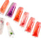HONEY VITAMIN E LIP GLOSS SIX PIECES, Assorted Fruit Flavors