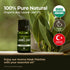 Gya Labs USDA Certified Organic Bay Leaf Essential Oil for Diffuser - 100% Pure Natural Aroma (0.34 Fl Oz)