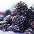 PURE ORIGINAL INGREDIENTS Blackberry Fruit Extract (8 oz), 4:1 Powder, Fine Powder Supplement & Additive