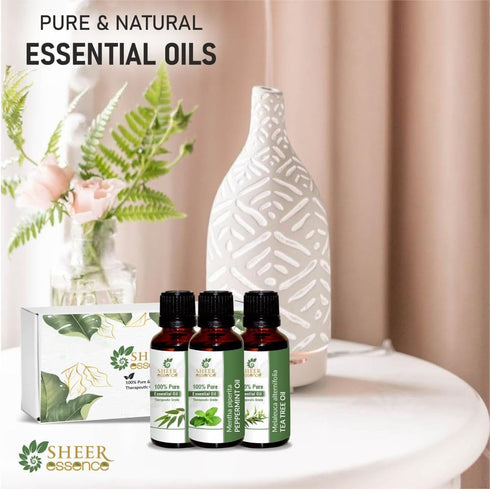 Set 6 15ml 6 Essential Oils - x - Top Fragrances (Sweet Orange, Eucalyptus, Lavender, Peppermint, Tea Tree, Lemongrass)