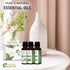 Set 6 15ml 6 Essential Oils - x - Top Fragrances (Sweet Orange, Eucalyptus, Lavender, Peppermint, Tea Tree, Lemongrass)
