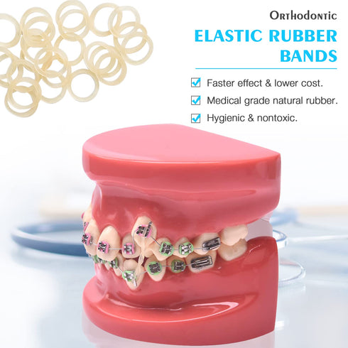ANNWAH 500 pcs Rubber Bands for Braces, Heavy Rubber Traction Bands 1/8" (100 Pieces/Pack) for Chipmunk