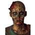 Liquid Latex for Special Effects, 16 Oz Each, Skin-Safe, Dries Clear, Easy Application, 2 Pack Set