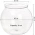 Okllen 6 Pack Mini Fish Bowl, 26 Oz Plastic Ivy Bowls, Unbreakable Bubble Ball Vases for Party Decor, Carnival Games, Candy, Table Centerpiece, BPA Free, Clear