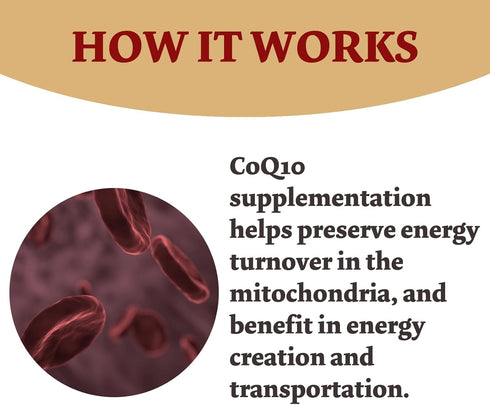 CoQ10 300mg - 120 Capsules - High Absorption - Non-GMO - Gluten-Free