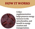 CoQ10 300mg - 120 Capsules - High Absorption - Non-GMO - Gluten-Free