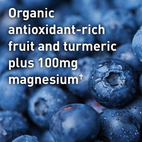 Garden of Life Sport Vegan Organic Plant Based Post Workout Muscle Recovery Powder, Blackberry Lemonade, 30 Servings