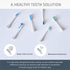 Elements Toothbrush Heads, Compatible with Elements Sonic Toothbrush, Small Firm Bristles, Pack of 3