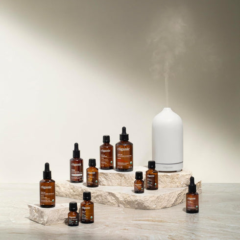 Cliganic Organic Cinnamon Cassia Essential Oil, 100% Pure Natural for Aromatherapy - Non-GMO Verified