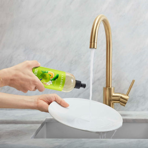 Caldrea Dish Soap, Biodegradable Liquid, Soap Bark and Aloe Vera, Ginger Pomelo Scent, 16 oz