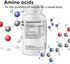 Youth & Tonic PM Bedtime Trim Amino Acids Supplement Pills for Men and Women | 30 Capsules to Support Metabolism and Defined Lean Muscles During Night Time