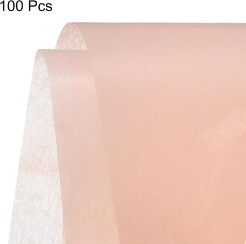 MECCANIXITY Tissue Gift Wrapping Paper Light Champagne 19.69x27.56 Inch for DIY Crafts, Pack of 100