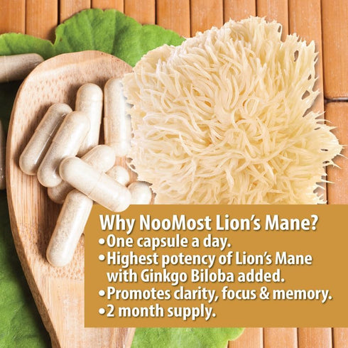 Organic Lions Mane Supplement Capsules 5400mg, Ginkgo Biloba 120mg, Vegan for Cognitive Function, 2 Months