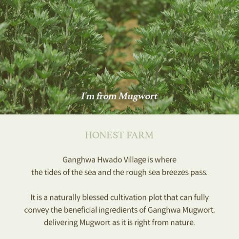 I'm from Mugwort Gel Cleanser, 150ml | Calming and Soothing Low pH Korean Face Wash for Sensitive Skin