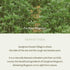 I'm from Mugwort Gel Cleanser, 150ml | Calming and Soothing Low pH Korean Face Wash for Sensitive Skin