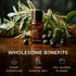 Set Set 2x0.34 oz Juniper Essential Oil for Skin & Grapefruit Essential Oil for Diffuser - Aromatherapy Grade Essential
