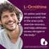 BESTVITE L-Ornithine 500mg (240 Vegetarian Capsules) - Vegan, Non-GMO, Gluten-Free, No Stearates or Fillers