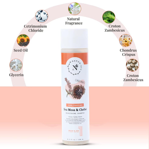 NaturAll Sea Moss Wash & Go Hair Growth Shampoo, 8.5 Oz - Paraben-Free, Sulfate-Free, Anti Frizz, Volumizing for All
