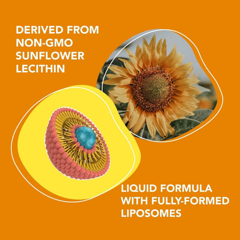 AMANDEAN Liposomal Vitamin C 1000mg - Liquid Supplement for Immune Support and Skin Health