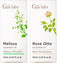 Melissa Oil for Herbaceous Scent & Rose Essential Oils for Skin Use