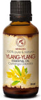 Ylang-Ylang Essential Oil - 1.7 Fl Oz, 100% Pure & Natural for Aromatherapy, Beauty, and Relaxation