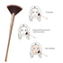 Fan Makeup Brush for Highlighter, Blush, Flutty & Powder Cosmetic Tool with Long Handle & Anti-Champagne Gold Brush