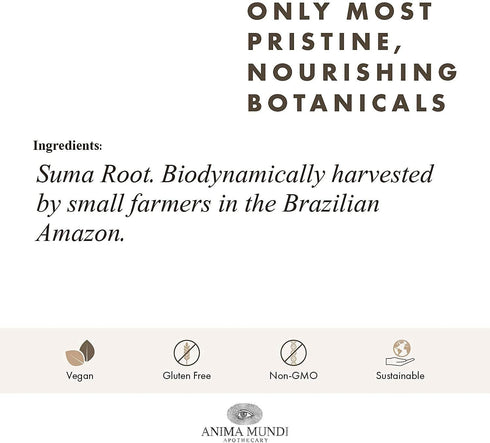 Anima Mundi Suma Brazilian Ginseng Root Powder, Superfood Energy Support, 4oz / 113g