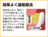 Premium Care Toothbrush, Wide, Usually 3 Pcs