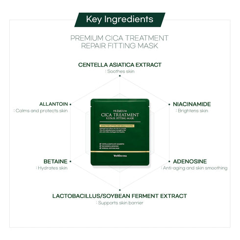 WELLDERMA Premium Cica Mask Treatment, 4 Sheets Hydrogel for Sensitive Skin, Firming & Soothing Face Care