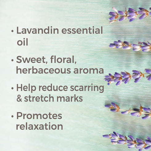 Plant Therapy Lavandin Essential Oil, 10 mL (1/3 oz), 100% Pure, Undiluted