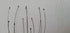 Head Scalp 10 Scalp Head Neck Scratcher Massager Stress Releif Tool Acupressure Therapy