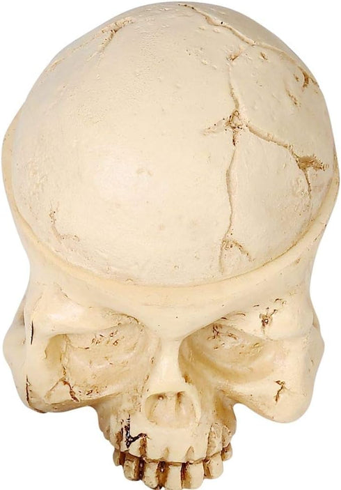 New Star Tattoo Ink Cup Holder, Hard Skull Resin Stand with 7 Holes for Tattoo Supplies and Permanent Makeup Kit