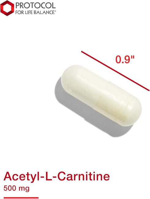 Protocol Acetyl-L-Carnitine 500mg - Brain Pills for Energy, Brain & Mitochondrial Health* - Non-GMO, Vegan, 100 Veg Caps