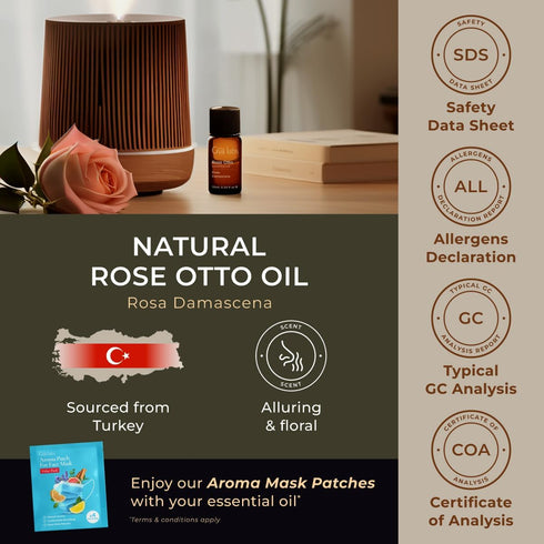 Set Set 2x0.34 oz Ambrette Seed & Rose Otto Essential Oils for Skin - Aromatherapy Grade Essential Oils - fl - Gya Labs