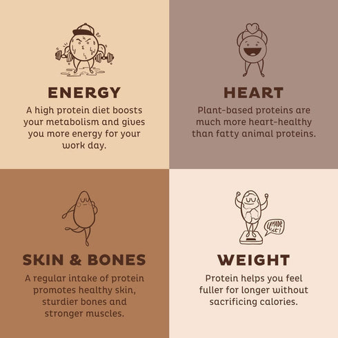 KOS Organic Plant Based Protein Powder, Chocolate Peanut Butter, Vegan, Keto Friendly, 15 Servings