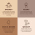 KOS Organic Plant Based Protein Powder, Chocolate Peanut Butter, Vegan, Keto Friendly, 15 Servings