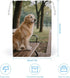 HETPLSD 20 25cm, Canvas Drawstring Bags * Double Sided Printed Portable Storage Pouch for Jewelry & Toys, Reusable Dog