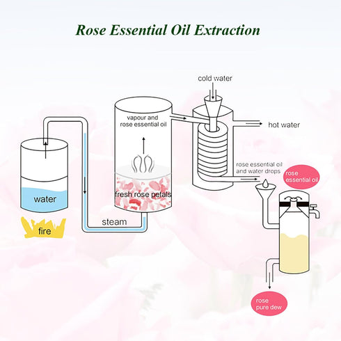 Rose Essential Oil for Skin - 10ml | Pure Mumianhua Therapeutic Grade Rose Aromatherapy Oils for Diffuser, Hair, Soap