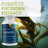 Youngevity FucoidZ - Pure Organic Maritech Fucoidan Extract & Cofactors | Immune Support | 60 Capsules