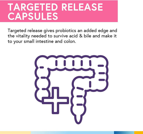 Terranics Daily Probiotics for Women, 200 Billion 32 Strains with Cranberry, Prebiotics & Enzymes, 60 Vegan Caps