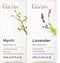 Myrrh Oil for Skin & Lavender Essential Oil for Diffuser Set -