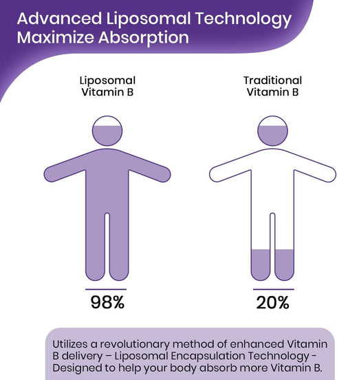 Liposomal Vitamin B Complex Liquid Sublingual, Improved Absorption Methylated B12, Energy & Immune Support, 2.0 oz