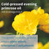 Vegepa Omega 3 Wild Fish Oil & Evening Primrose Oil Blend - 560 mg EPA Plus GLA, 60 Small Softgels